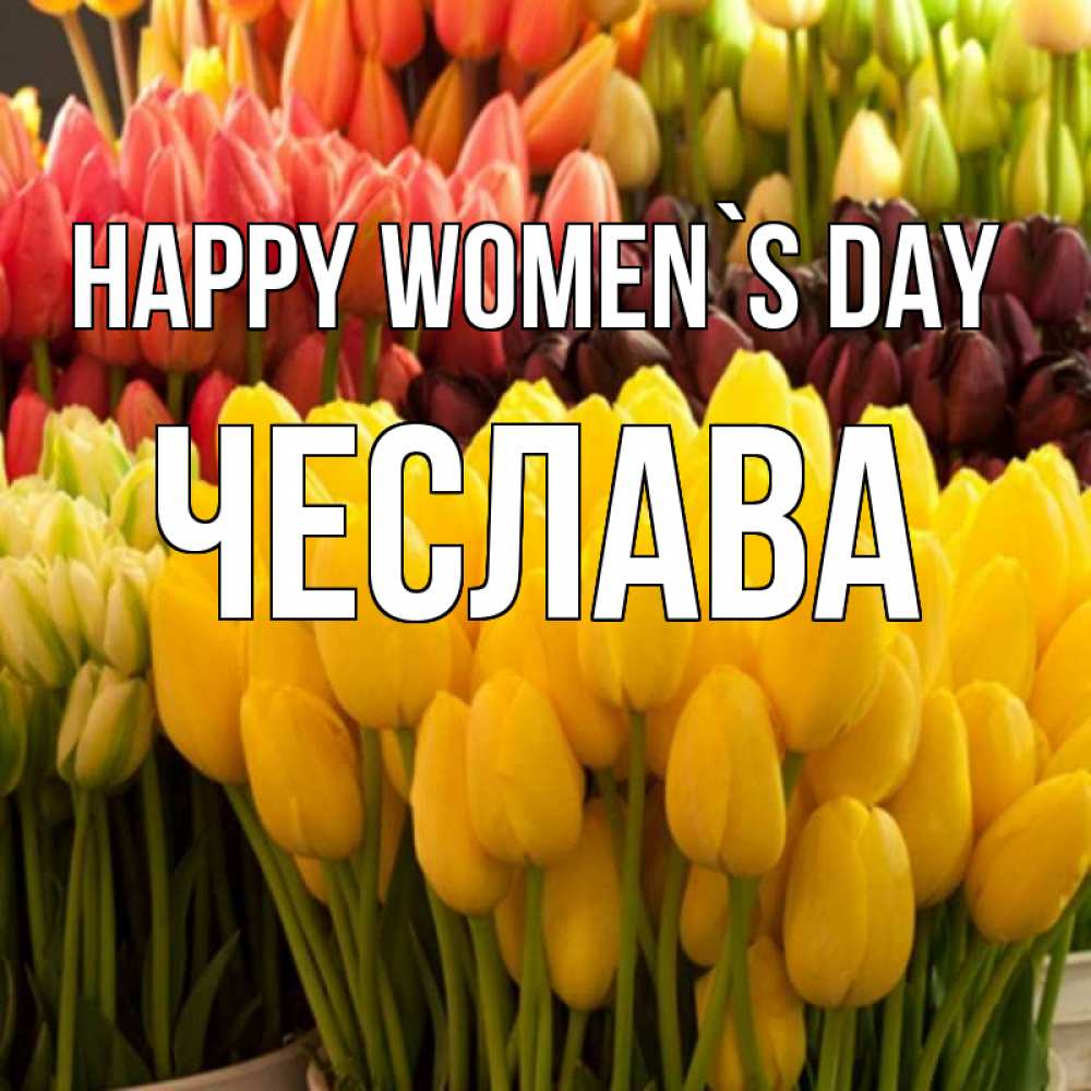 Greetings card с именем, Чеслава happy women`s day цветы Greetings with text for free download 